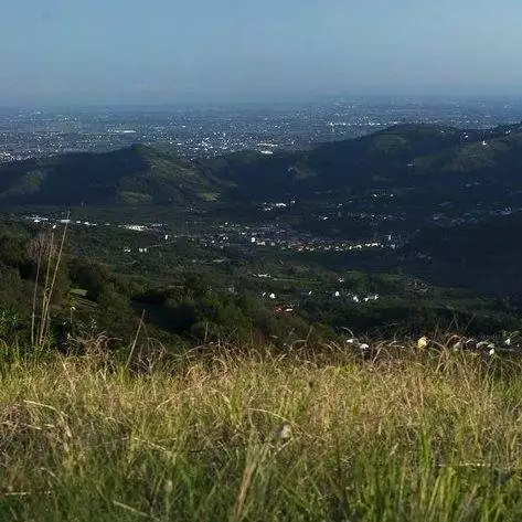 Una veduta della Val d'Alpone