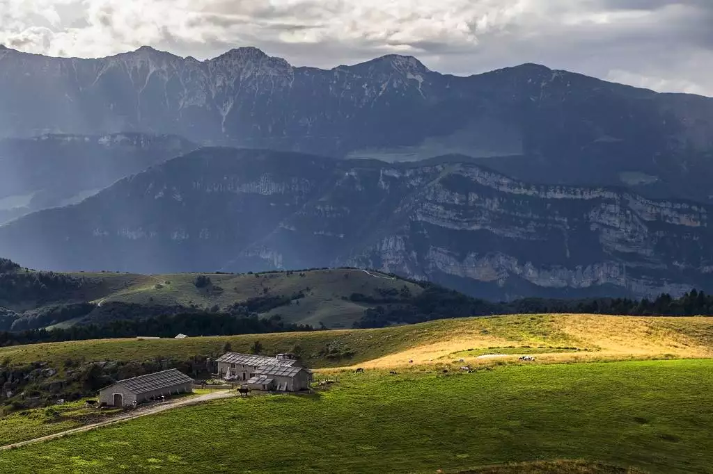 Camporetratto (Foto Malvezzi).