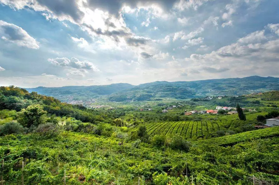 Una veduta della Val d'Alpone