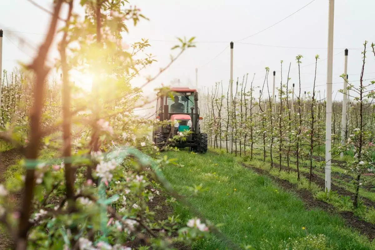 Un trattore che opera in un campo agricolo.