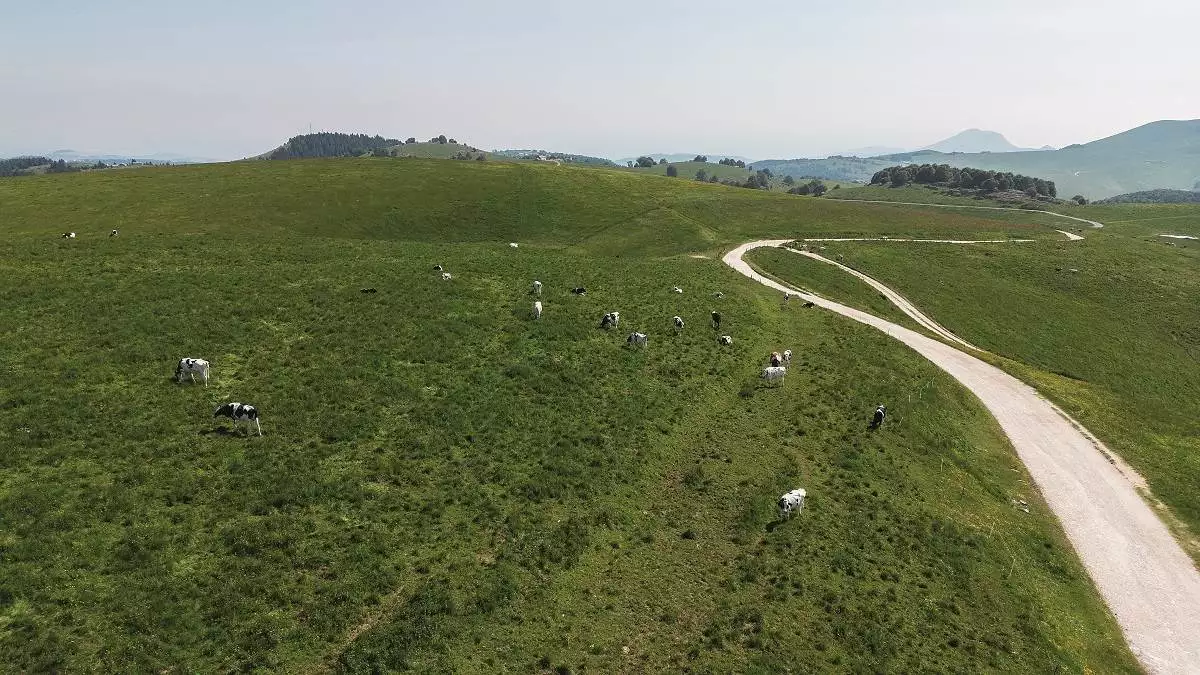 Un paesaggio in Lessinia.