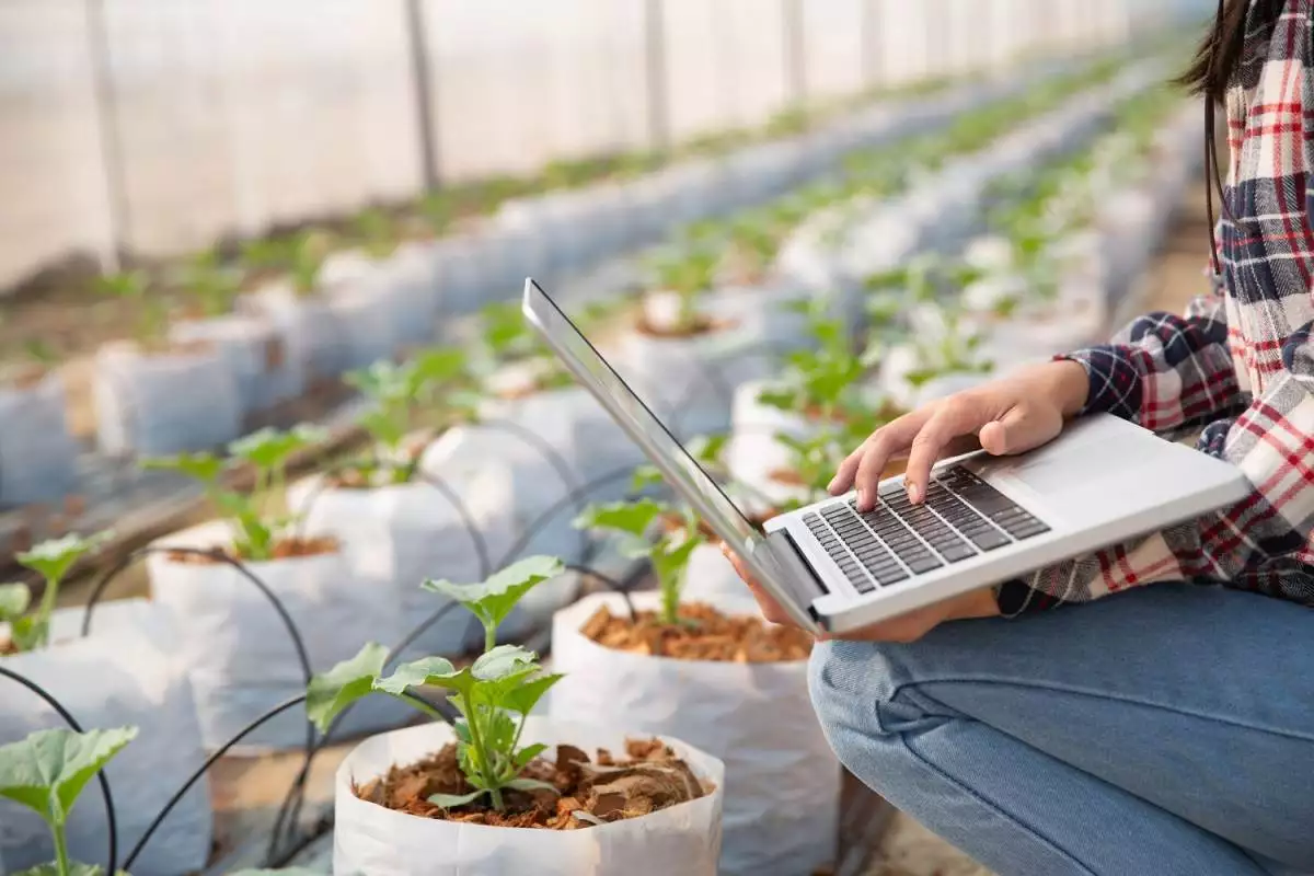 Un utilizzo di software in agricoltura.